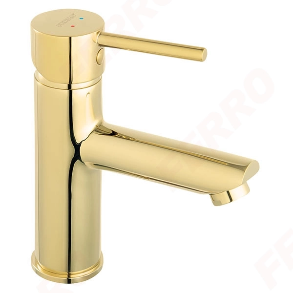 Baterie lavoar Ferro Fiesta BFI2G